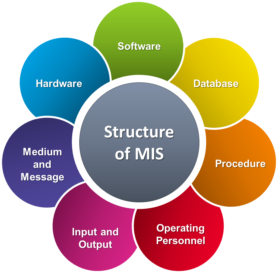 MIS Software SAS AUTOMATION PVT LTD mis-software-sas-automation-pvt-ltd